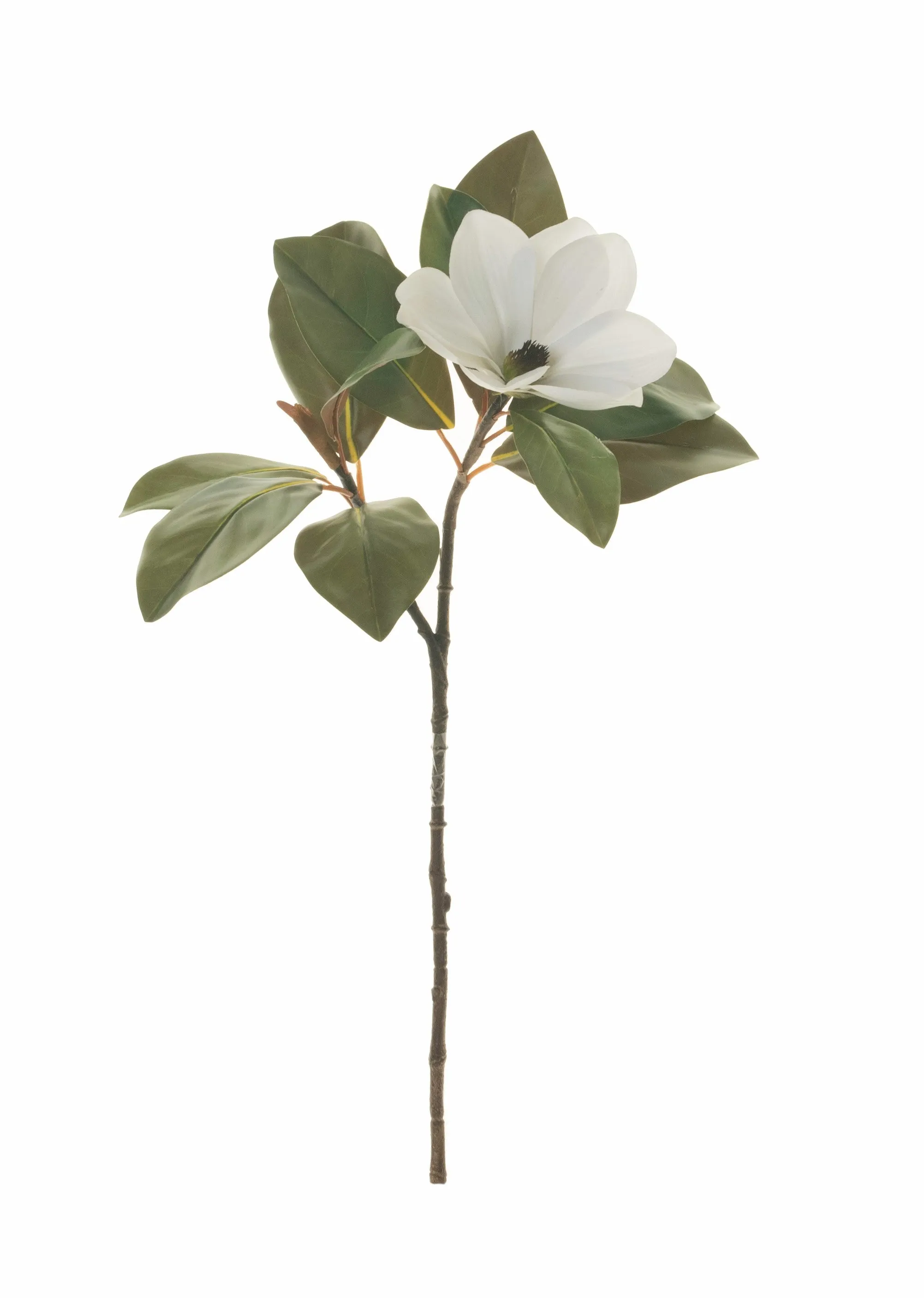 27" Magnolia Stem    FL1030