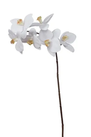 28" Phalaenopsis Orchid    6 Flowers  FL1009