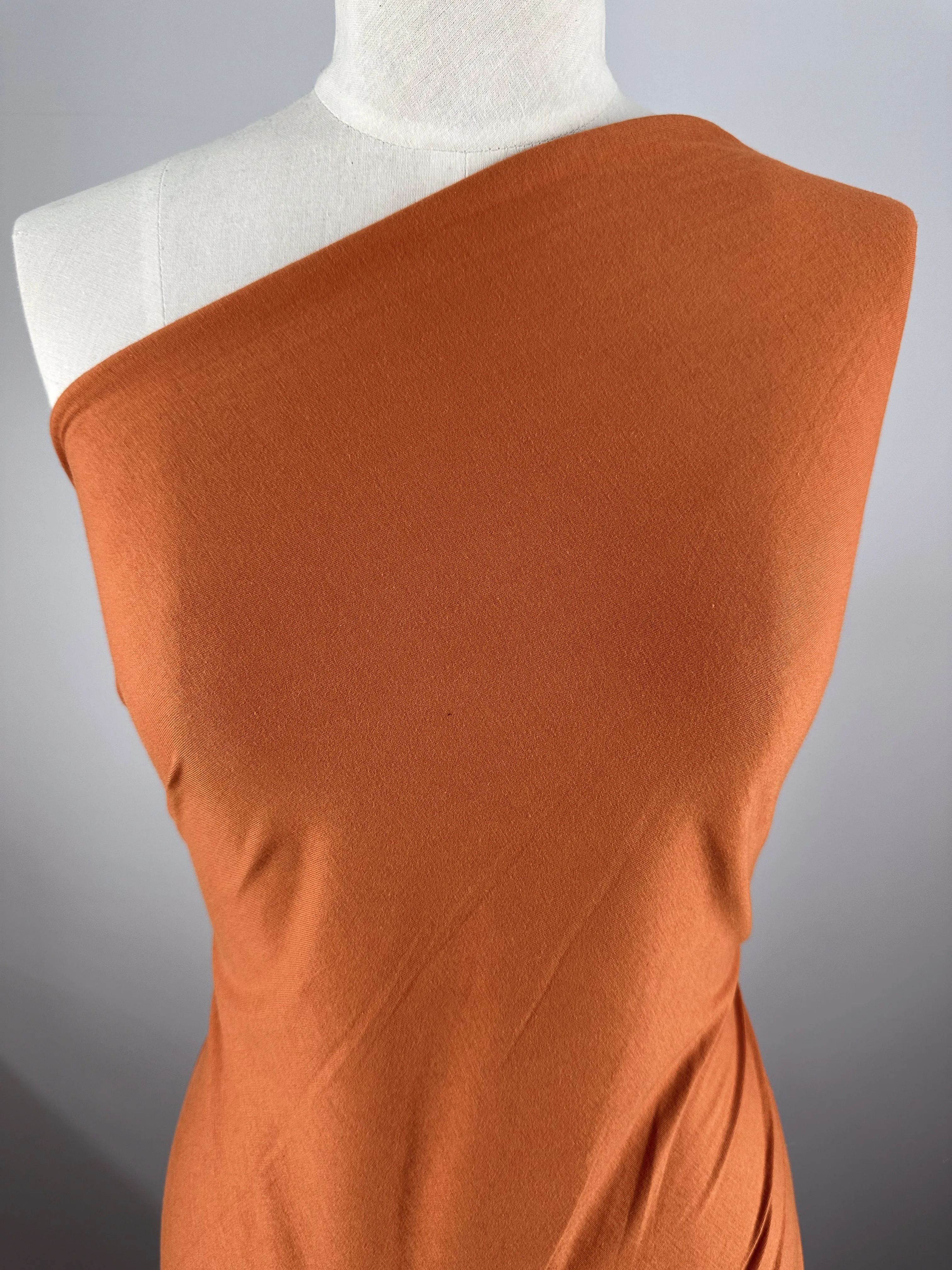 Cotton Jersey - Apricot Orange - 160cm