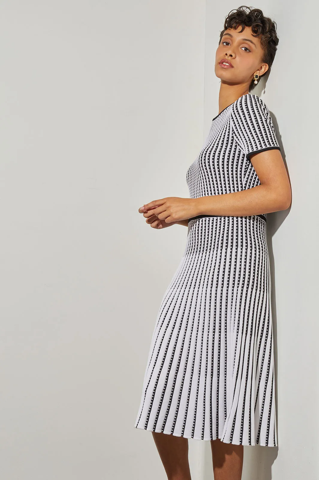 Jewel Neck Striped Flare Soft Knit Dress, White & Black