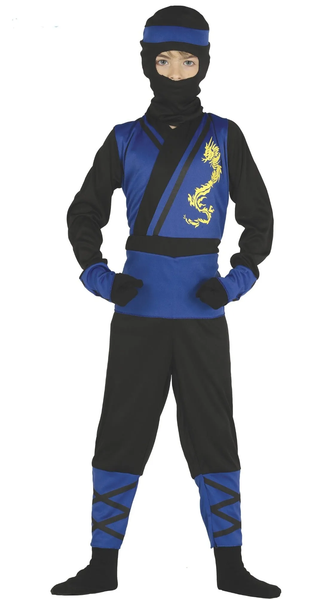 Ninja Assassin Costume Blue